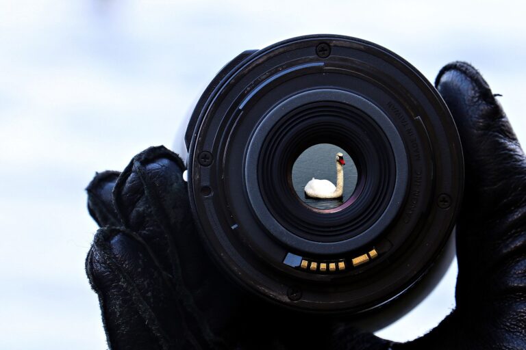 lake-gdd2b05bd8_1920